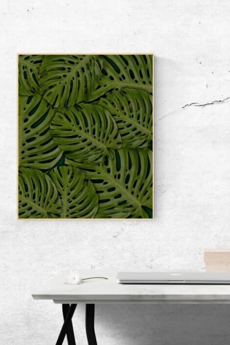 Biel i zieleń w domu Biel i zieleń w domu