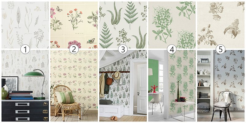 Botaniczne tapety zioła Botaniczne tapety zioła