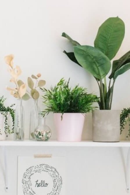 Półka na zieleń do małego pokoju Półka na zieleń do małego pokoju