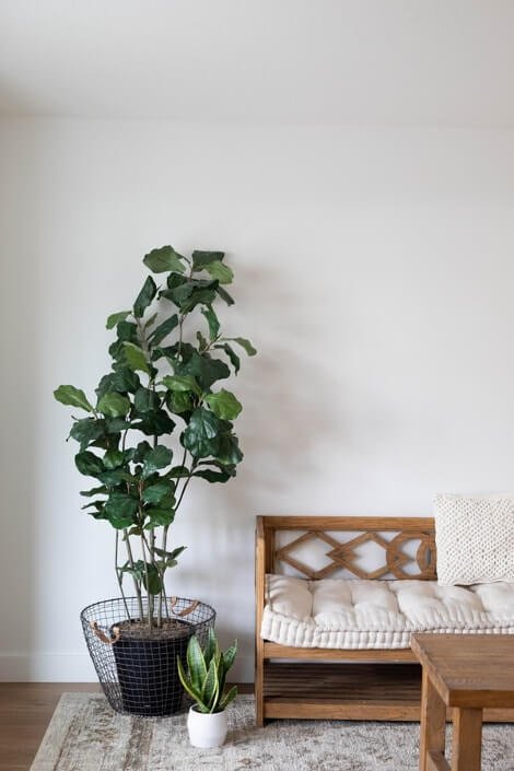 Wysokie rośliny w domu skandynawskim Wysokie rośliny w domu skandynawskim